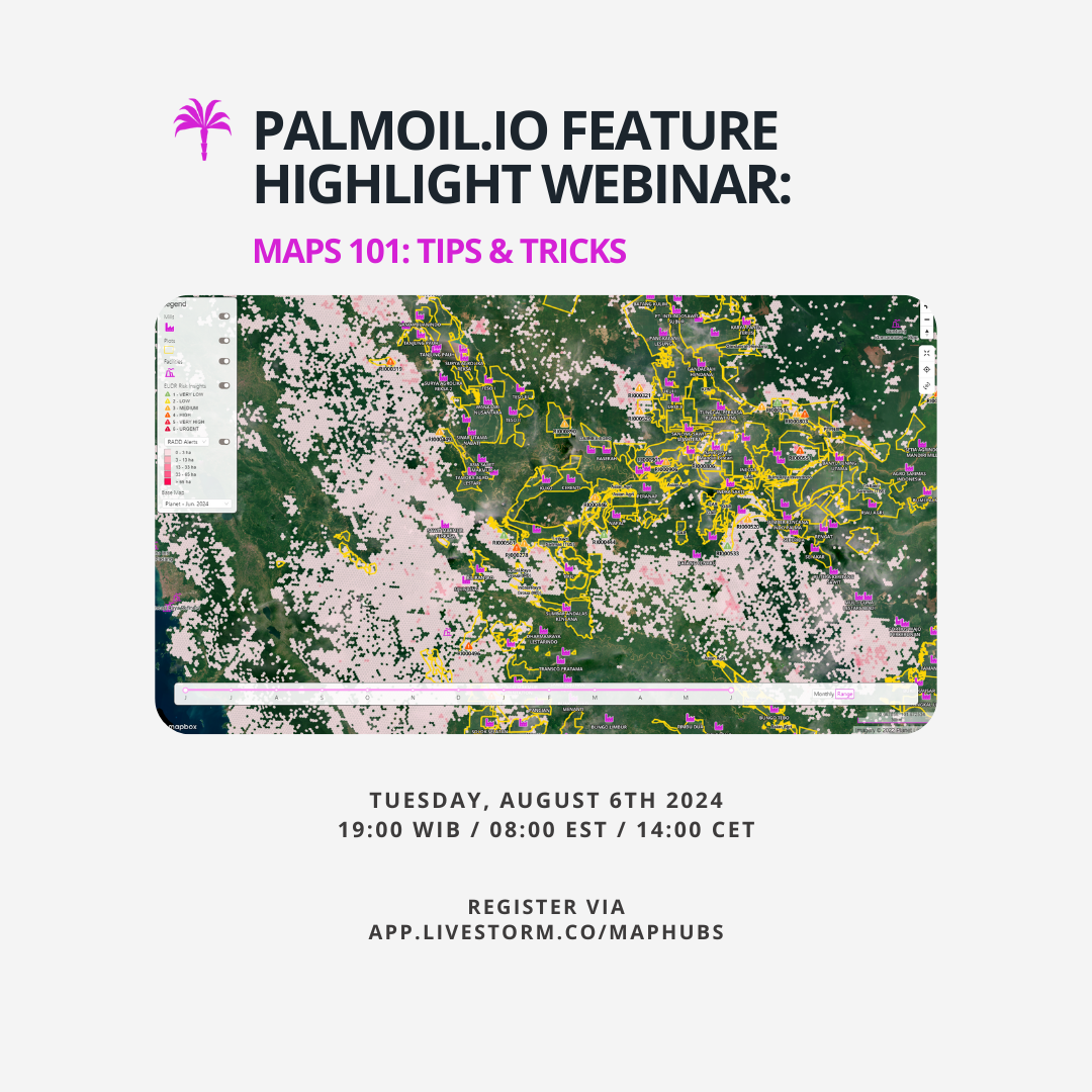 Palmoil.io Newsletter - July 2024