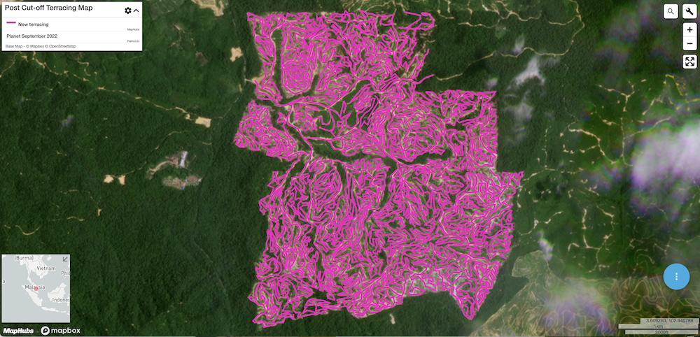 2025 Outlook webinar: Palm oil at the crossroads