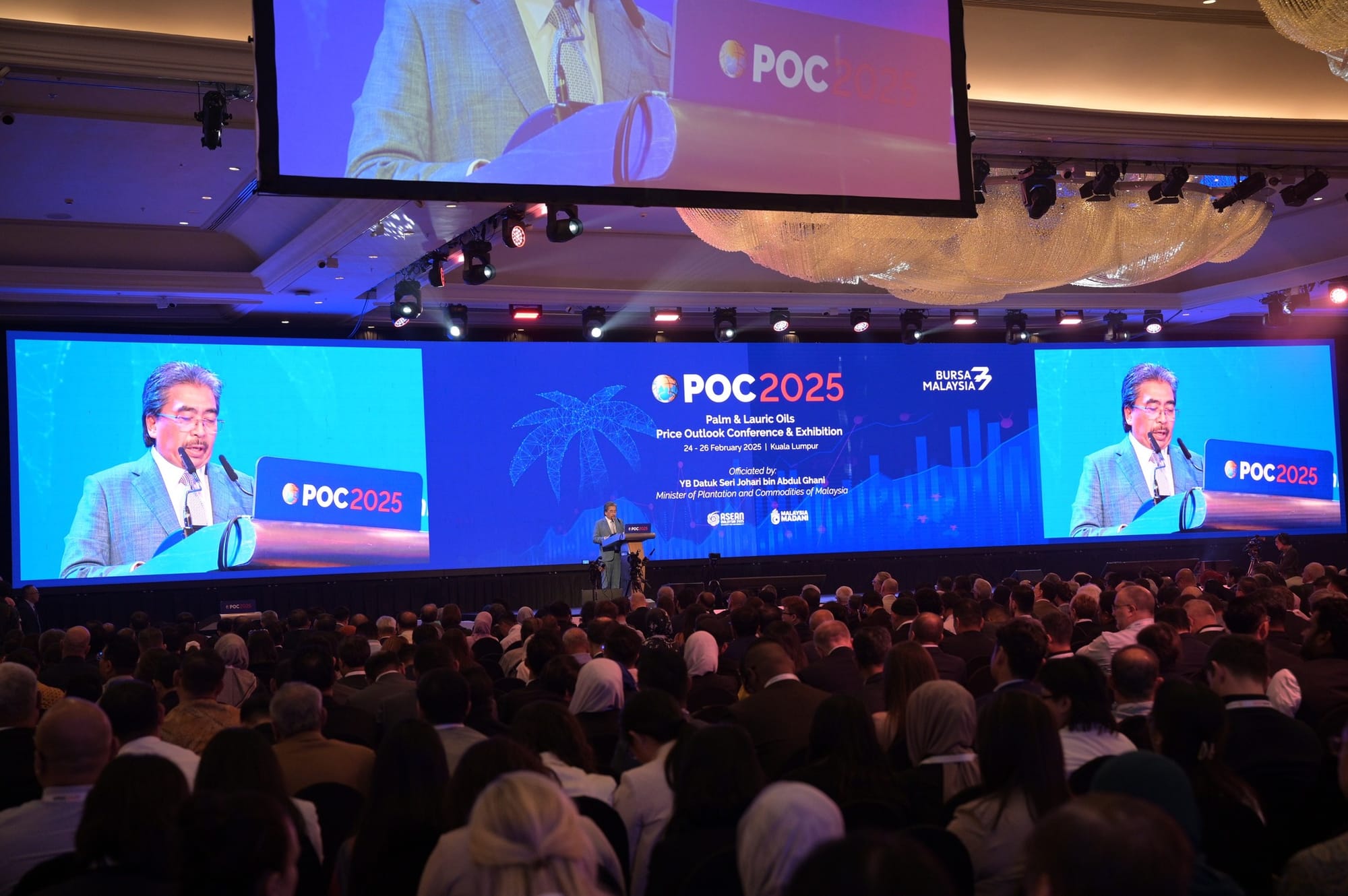 Palmoil.io Newsletter - February 2025