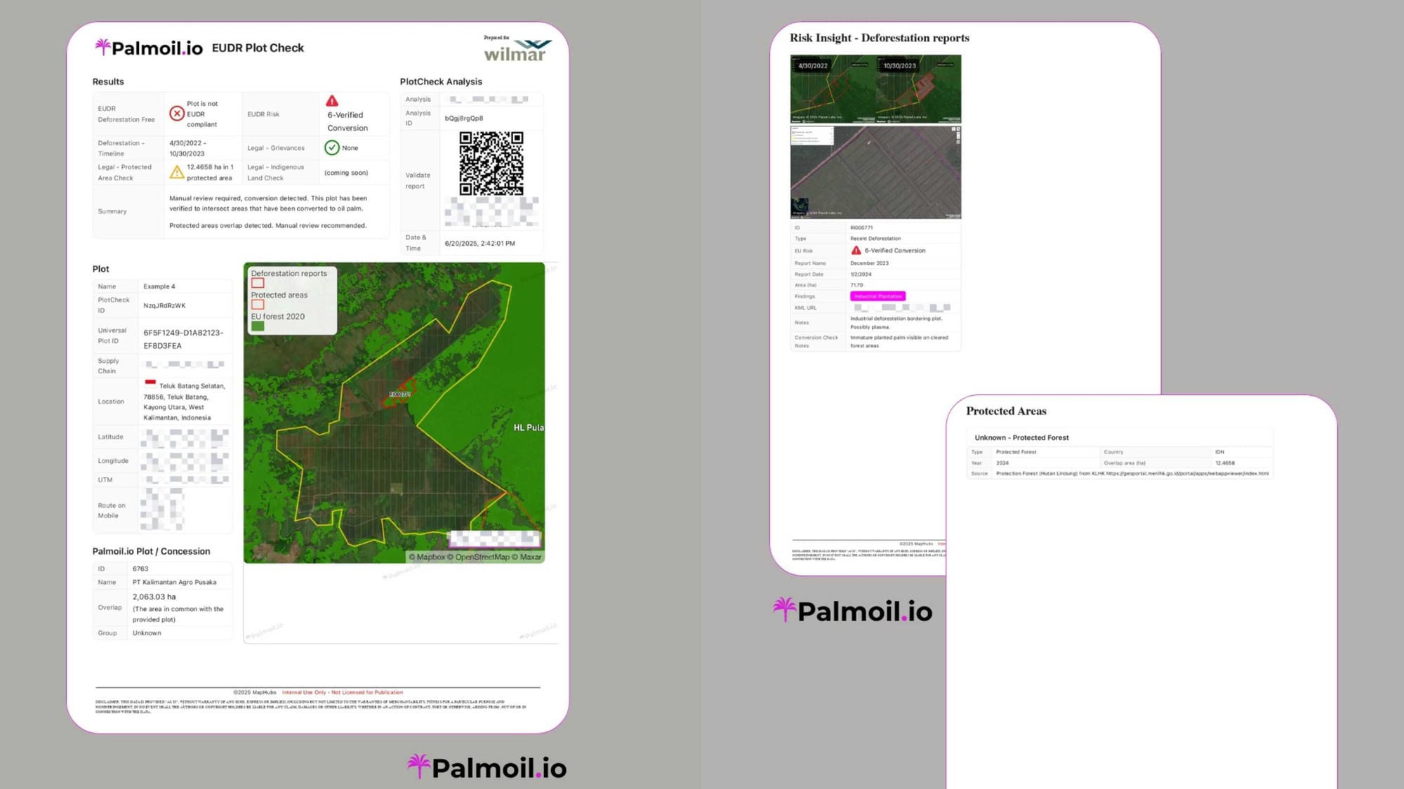 Palmoil.io Newsletter - June 2025