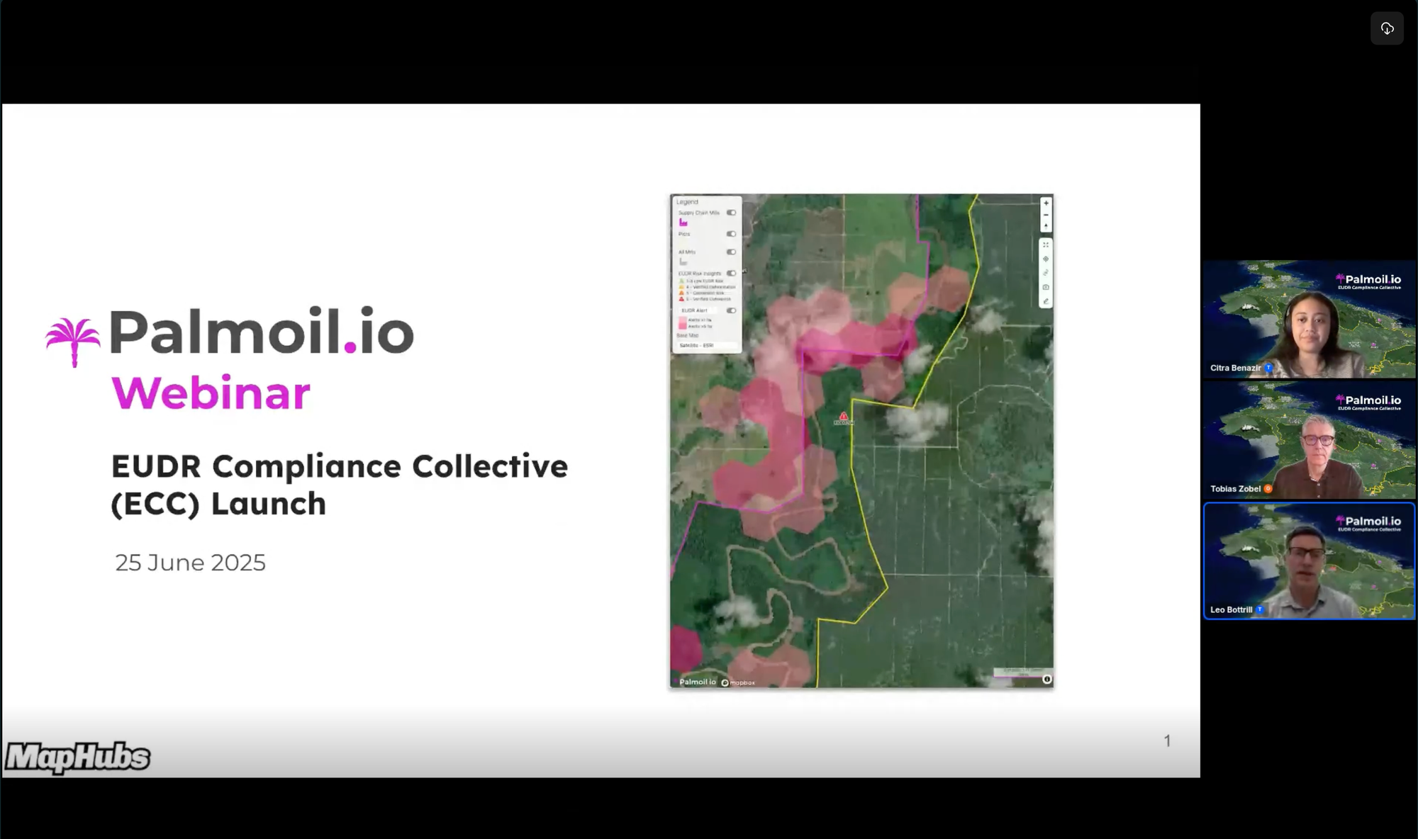 Palmoil.io Newsletter - June 2025